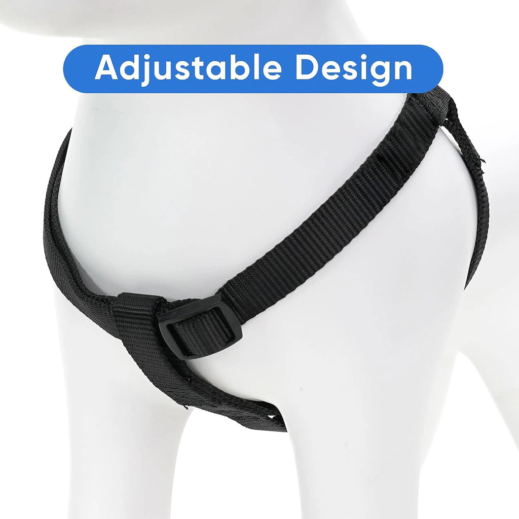 S021f6275c3744334a894354c7ecdd157c