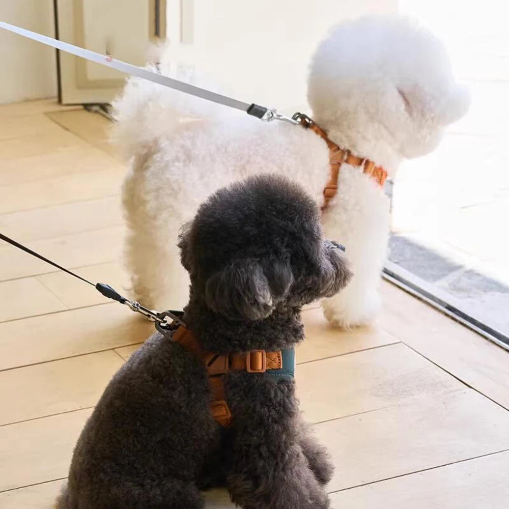 S11b42653bb5d4e29aecd9119fd6e6ce5O