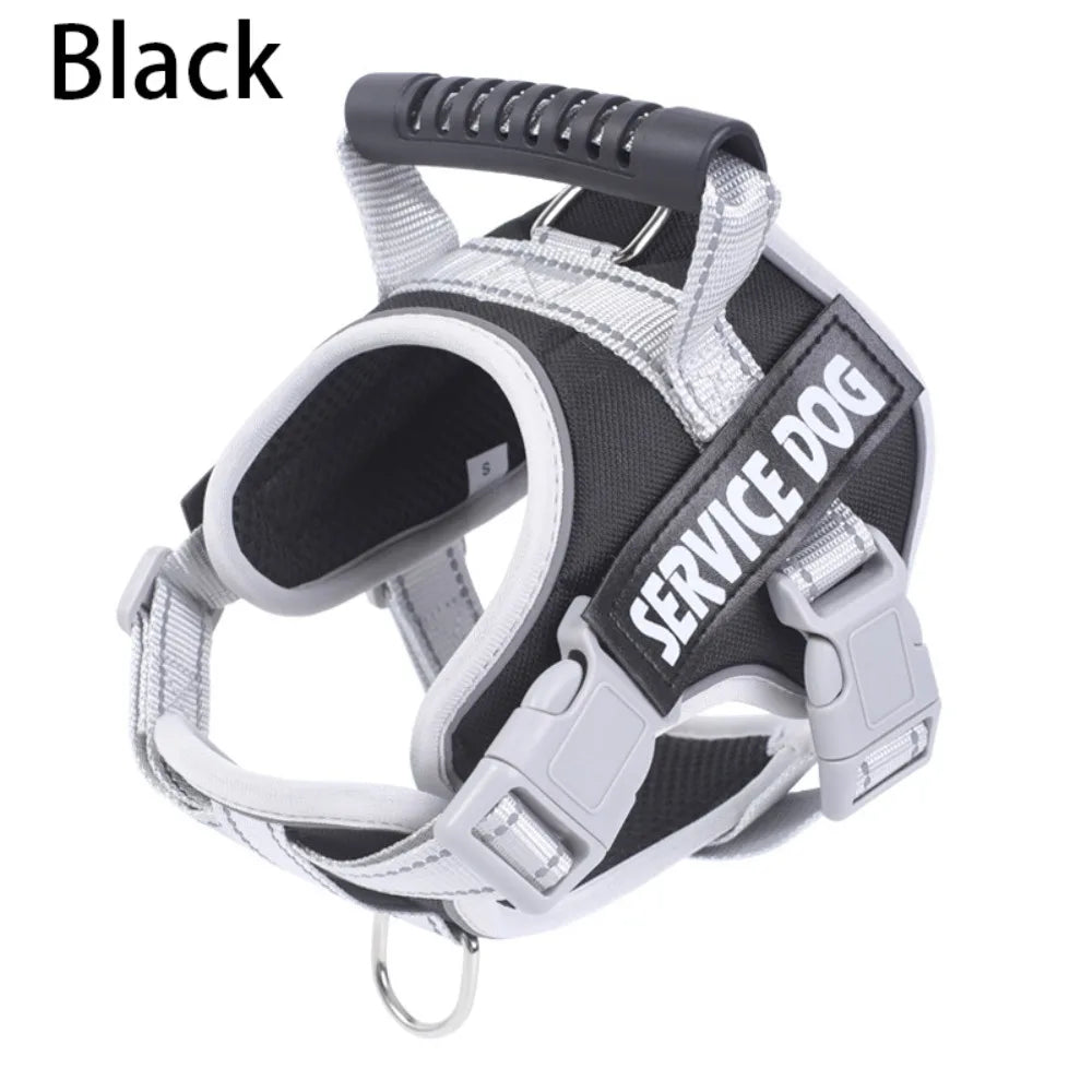 S2ef8623903414dbc95af73b3d2ea5460A