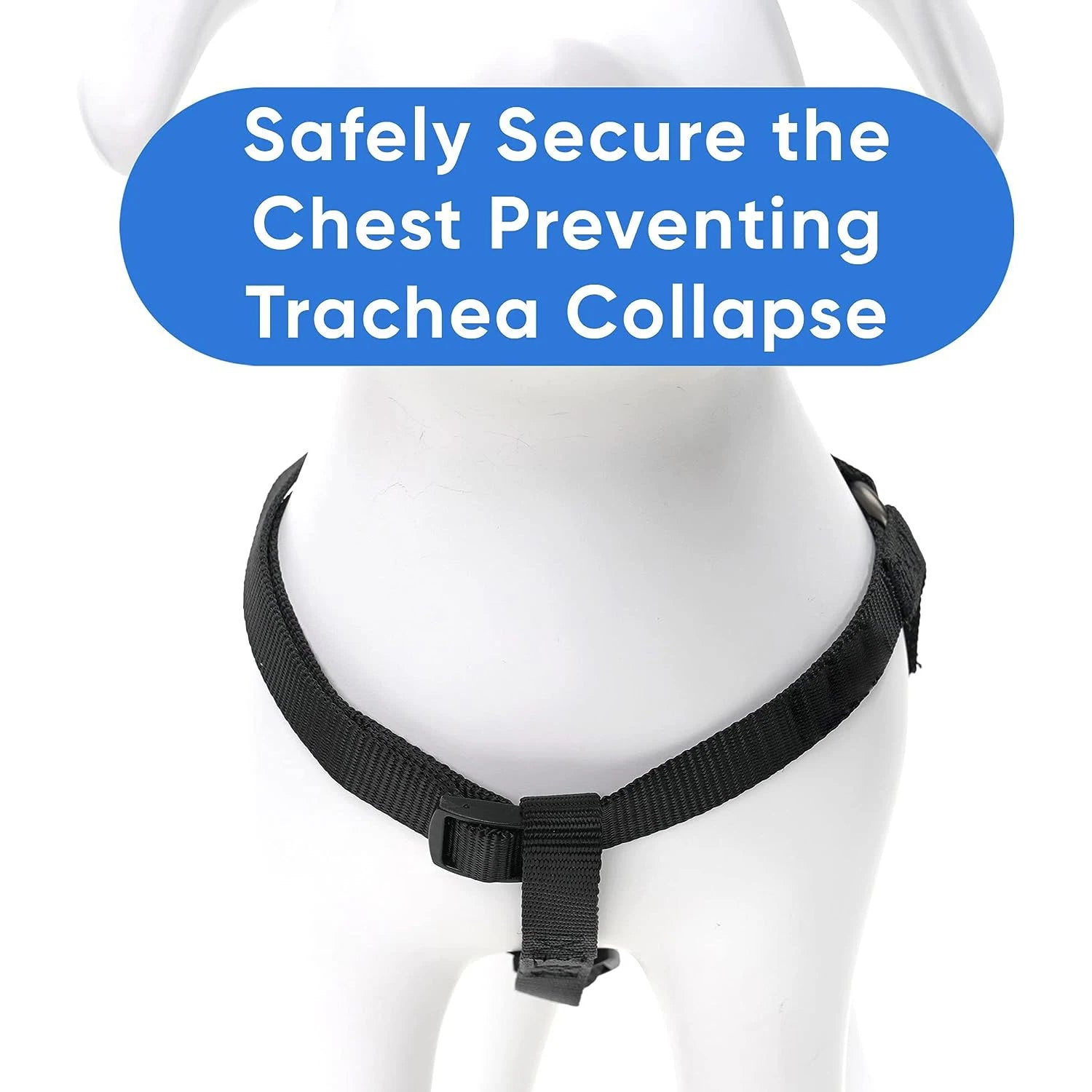 S32d3f36a47c94c7186e9e88b9076eea0O