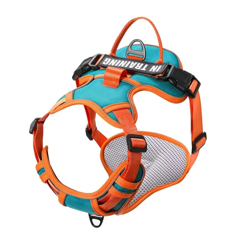 S6c94ac10de0f45f7958ec18f2001c1aaQ