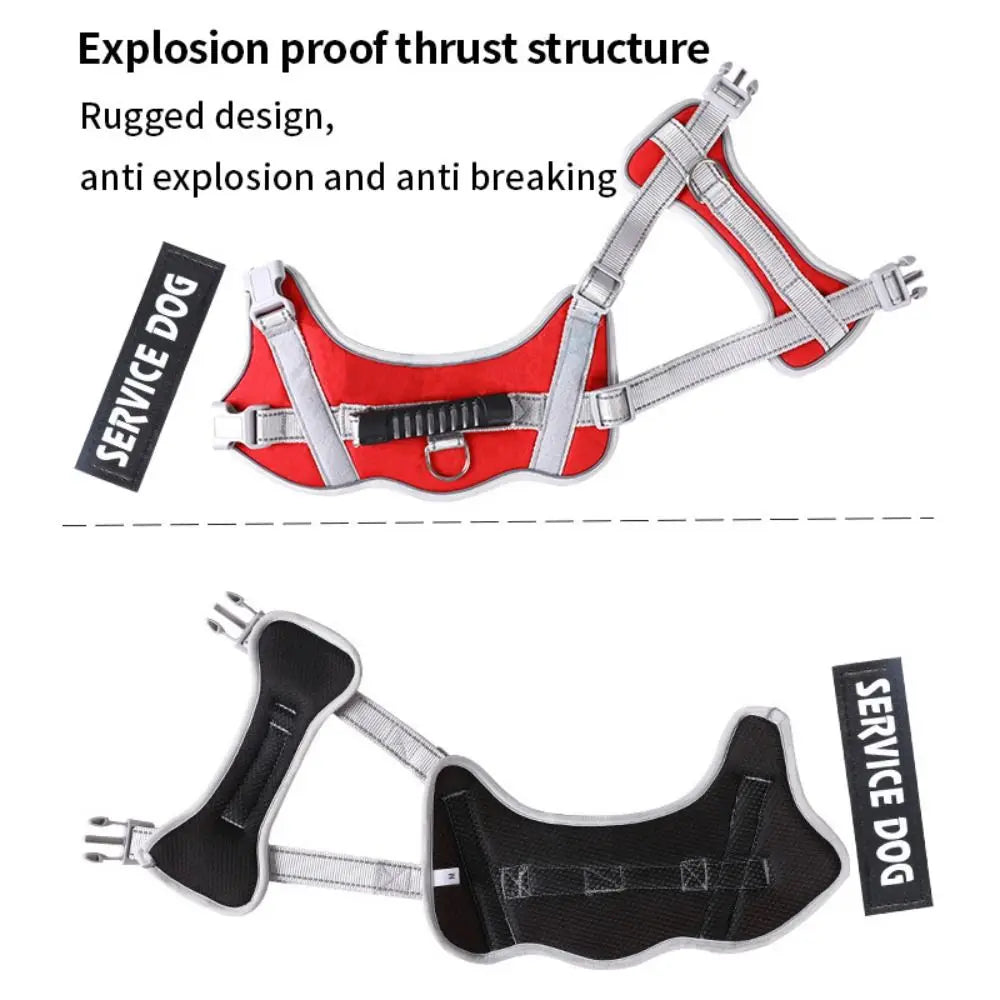 Se1de66d3866a41a7a42ad2f7d6f804c1E