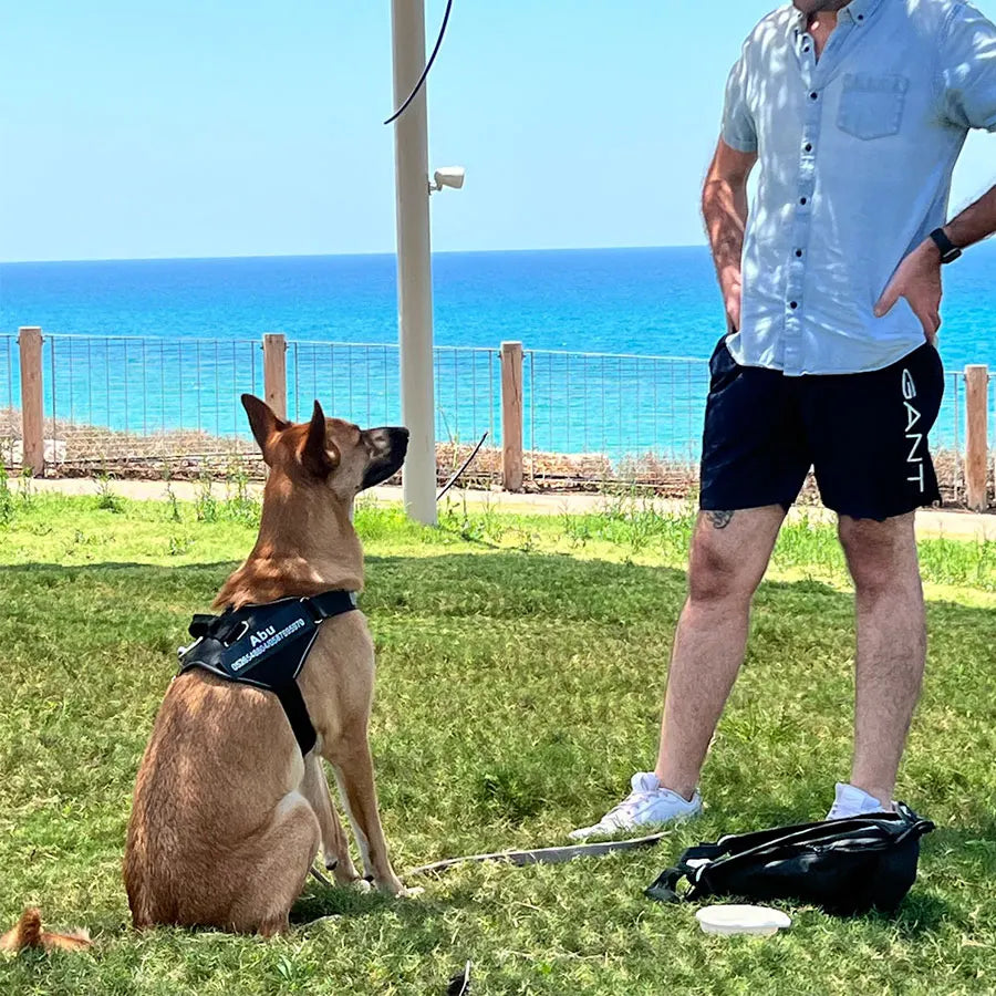 Se7a3326e0c6b4cdba2df3f7c4ede38a4F