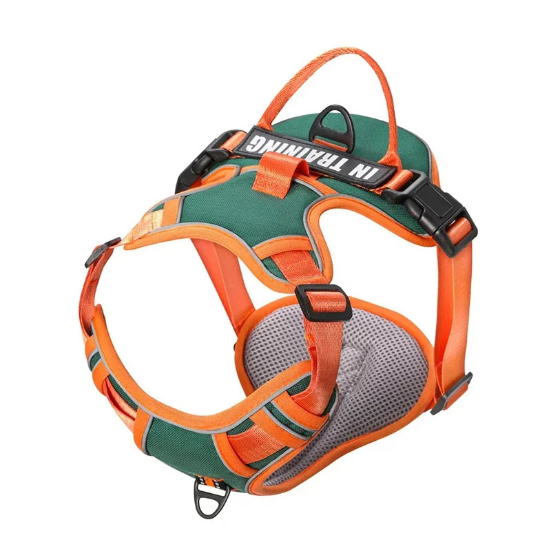 Sefe5a34c8c69480da6761d61ab200498r